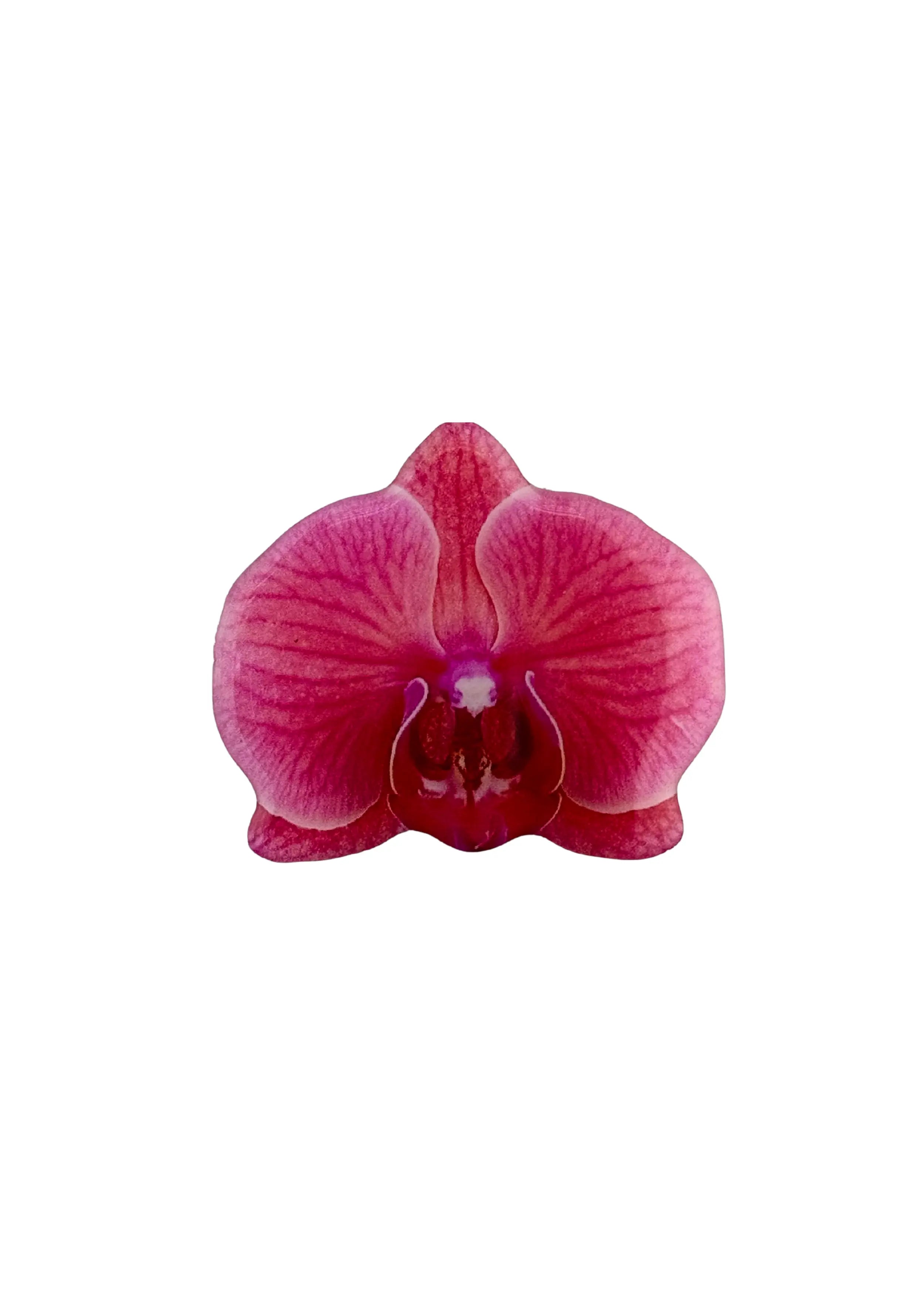 Sticker Orchid Phone Grip The Dream Académie