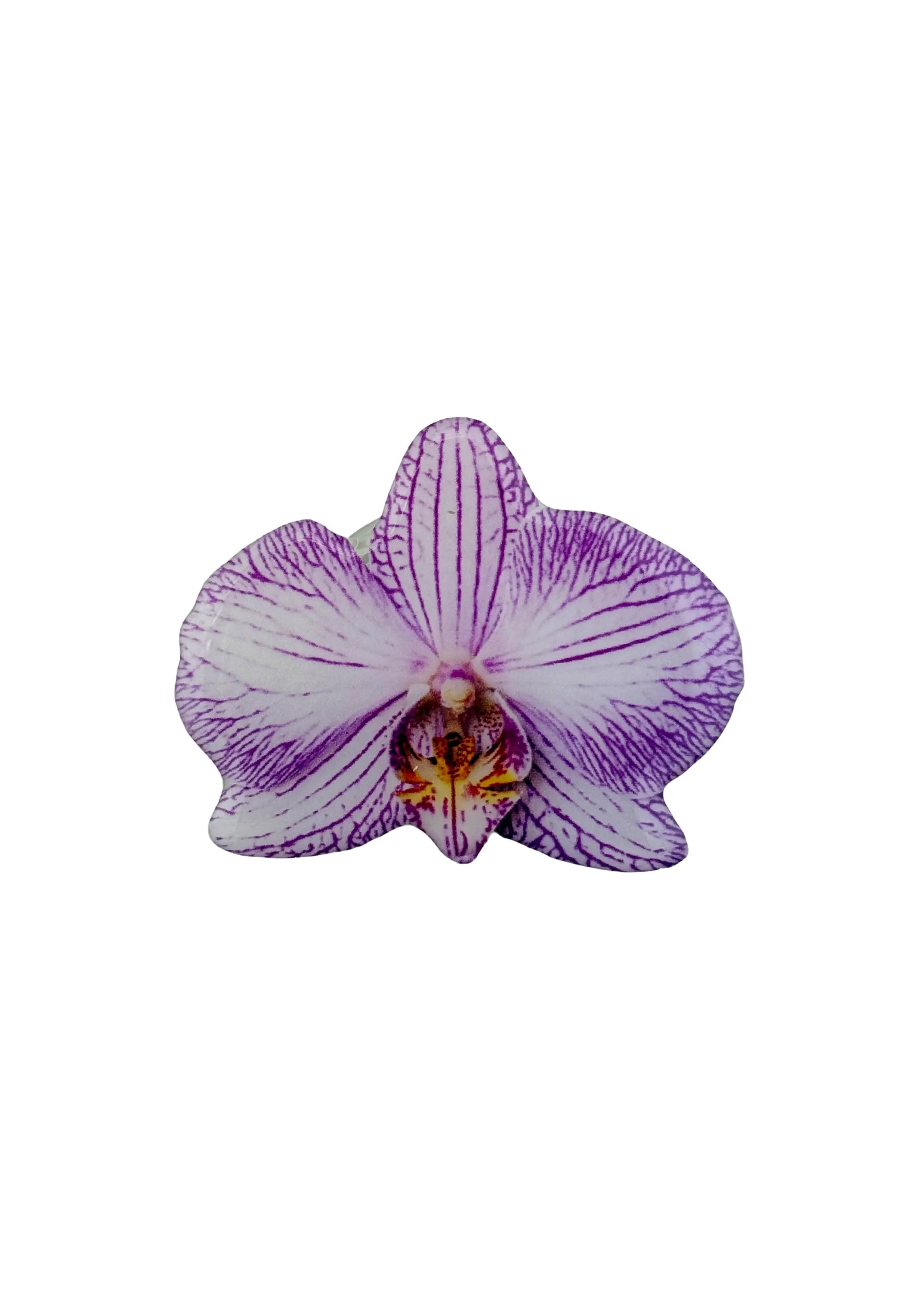 Sticker Orchid Phone Grip The Dream Académie
