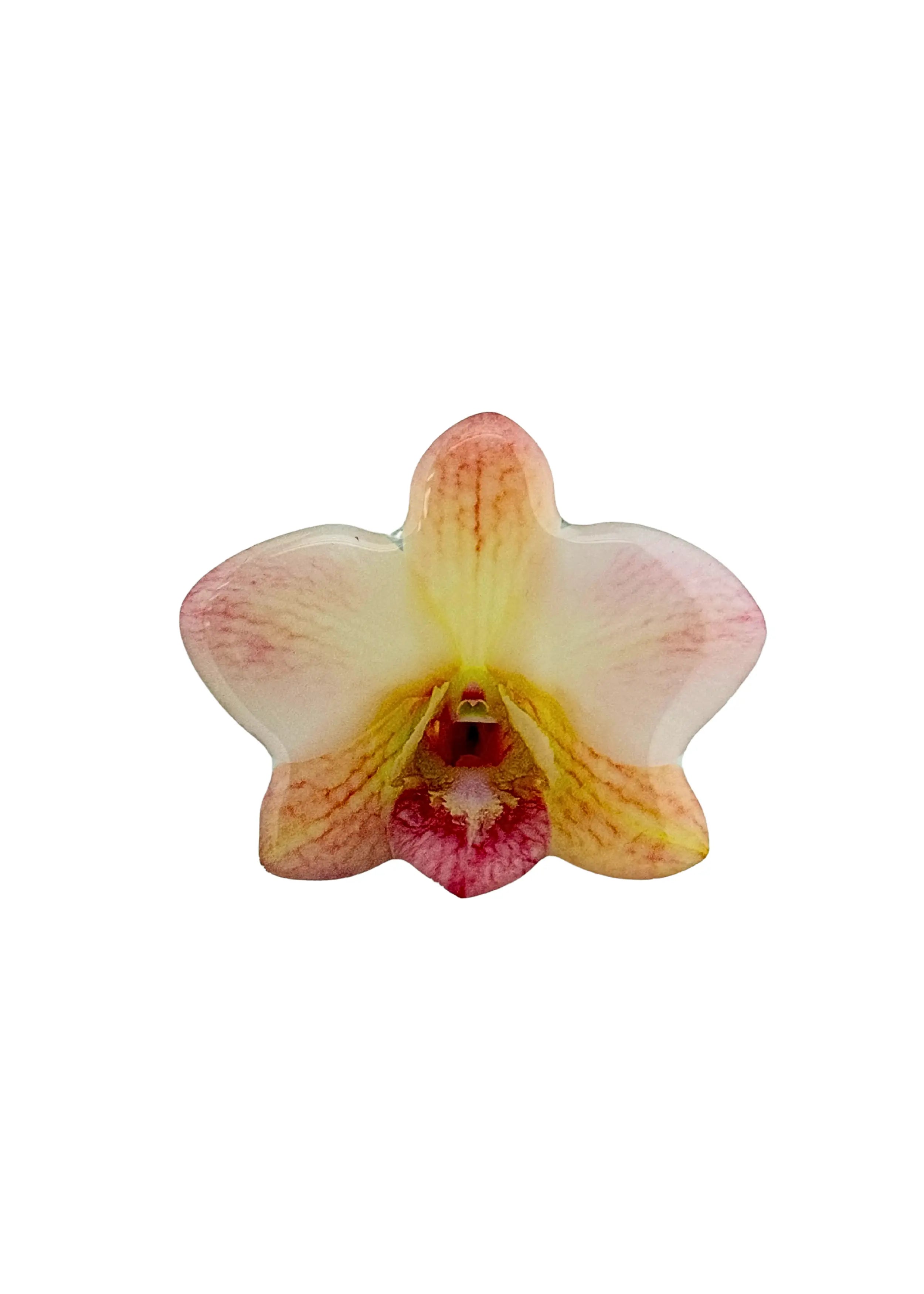 Sticker Orchid Phone Grip The Dream Académie
