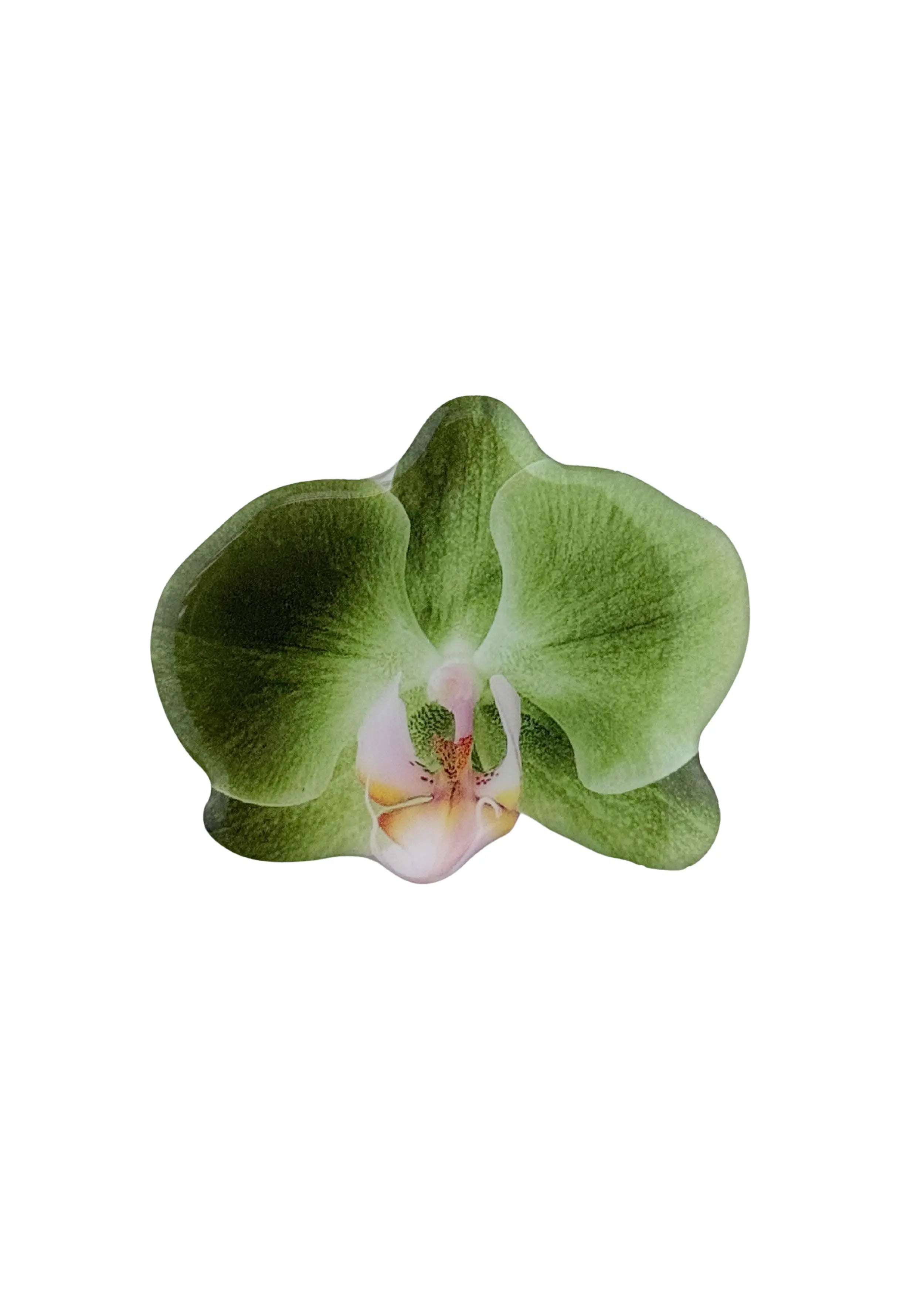 Sticker Orchid Phone Grip The Dream Académie