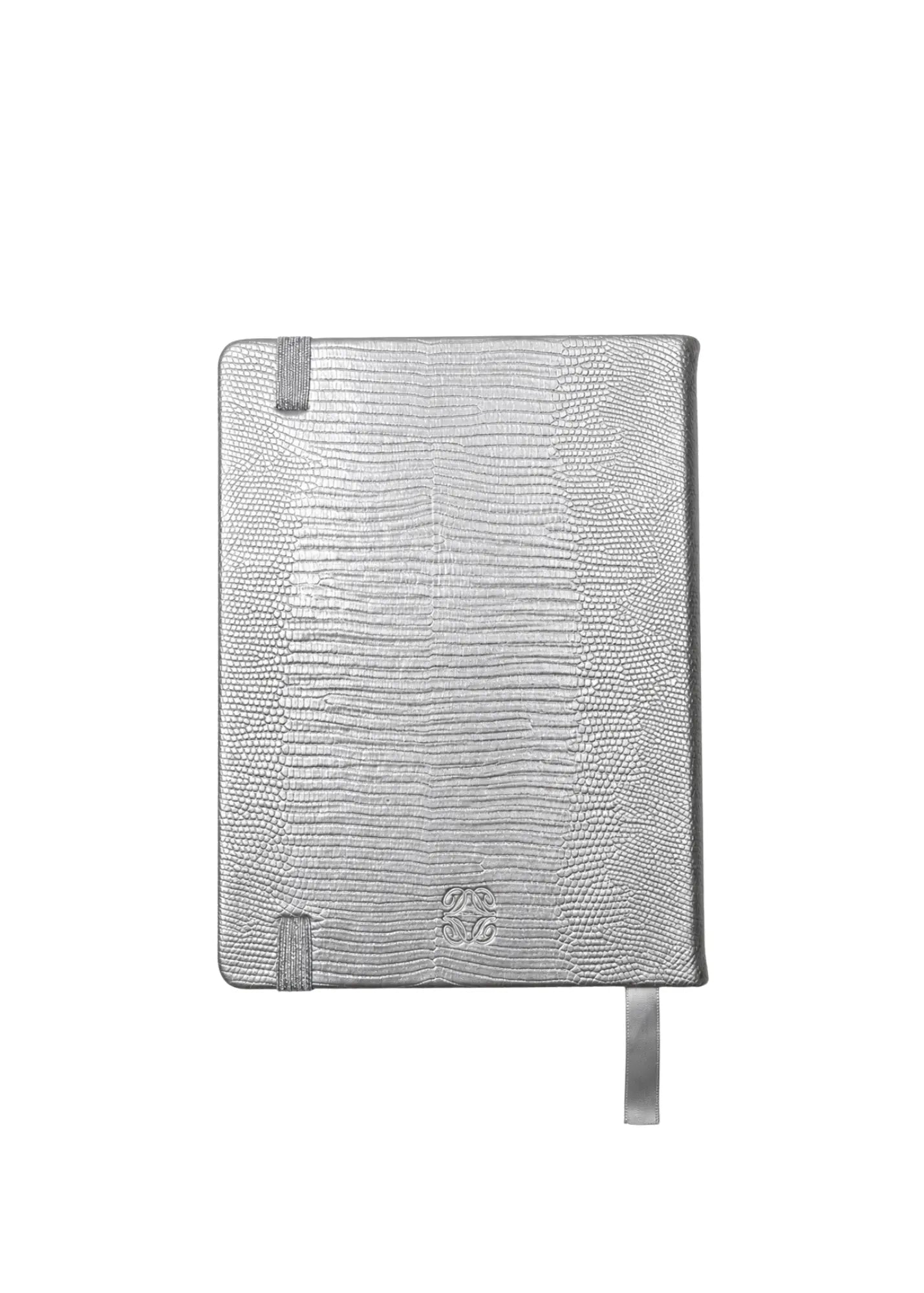 Silver Lizard Journal The Dream Académie