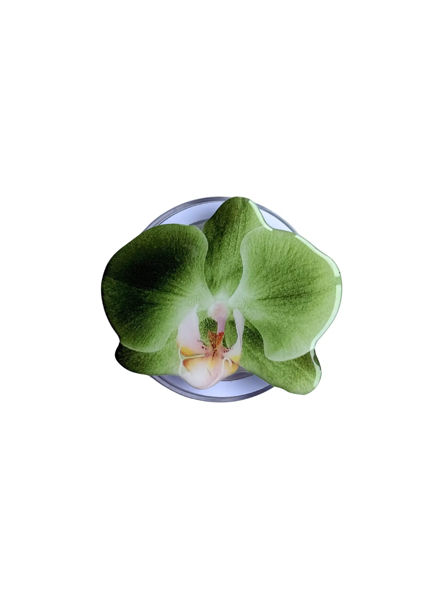 Green Orchid Phone Grip The Dream Académie