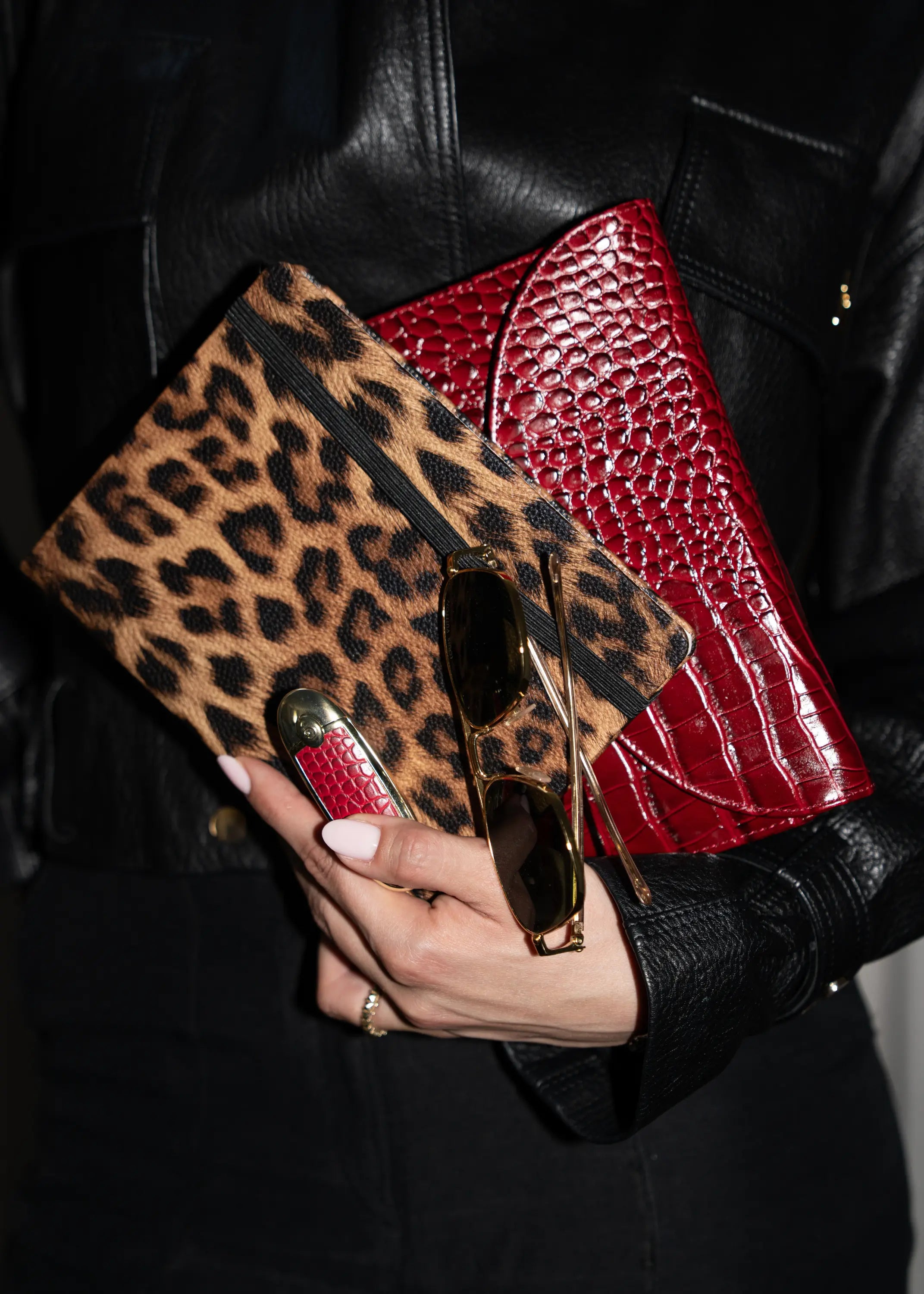 Leopard Journal The Dream Académie