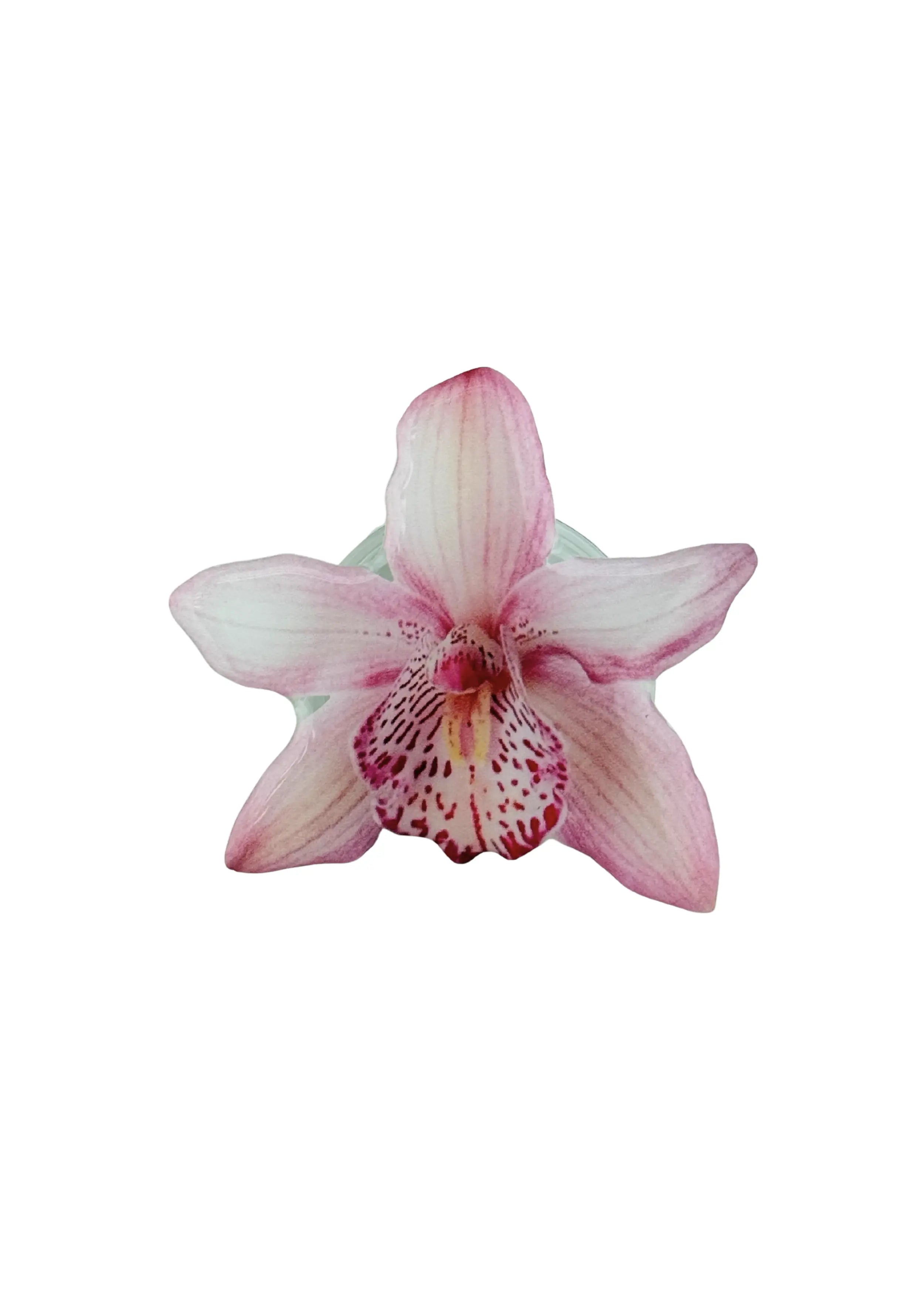 Sticker Orchid Phone Grip The Dream Académie