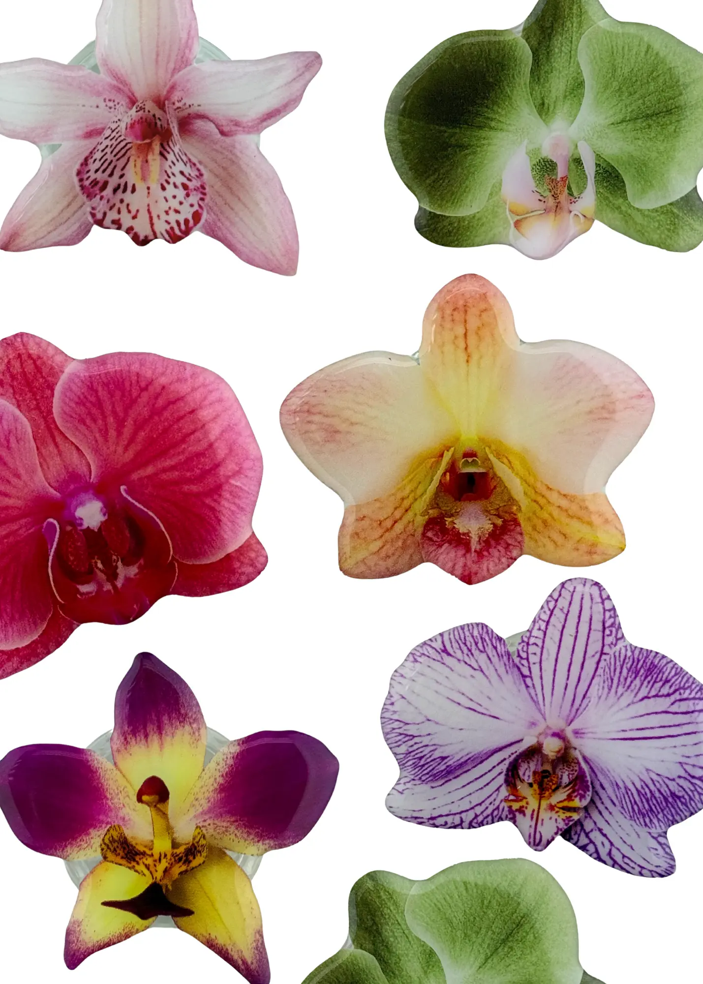 Sticker Orchid Phone Grip The Dream Académie