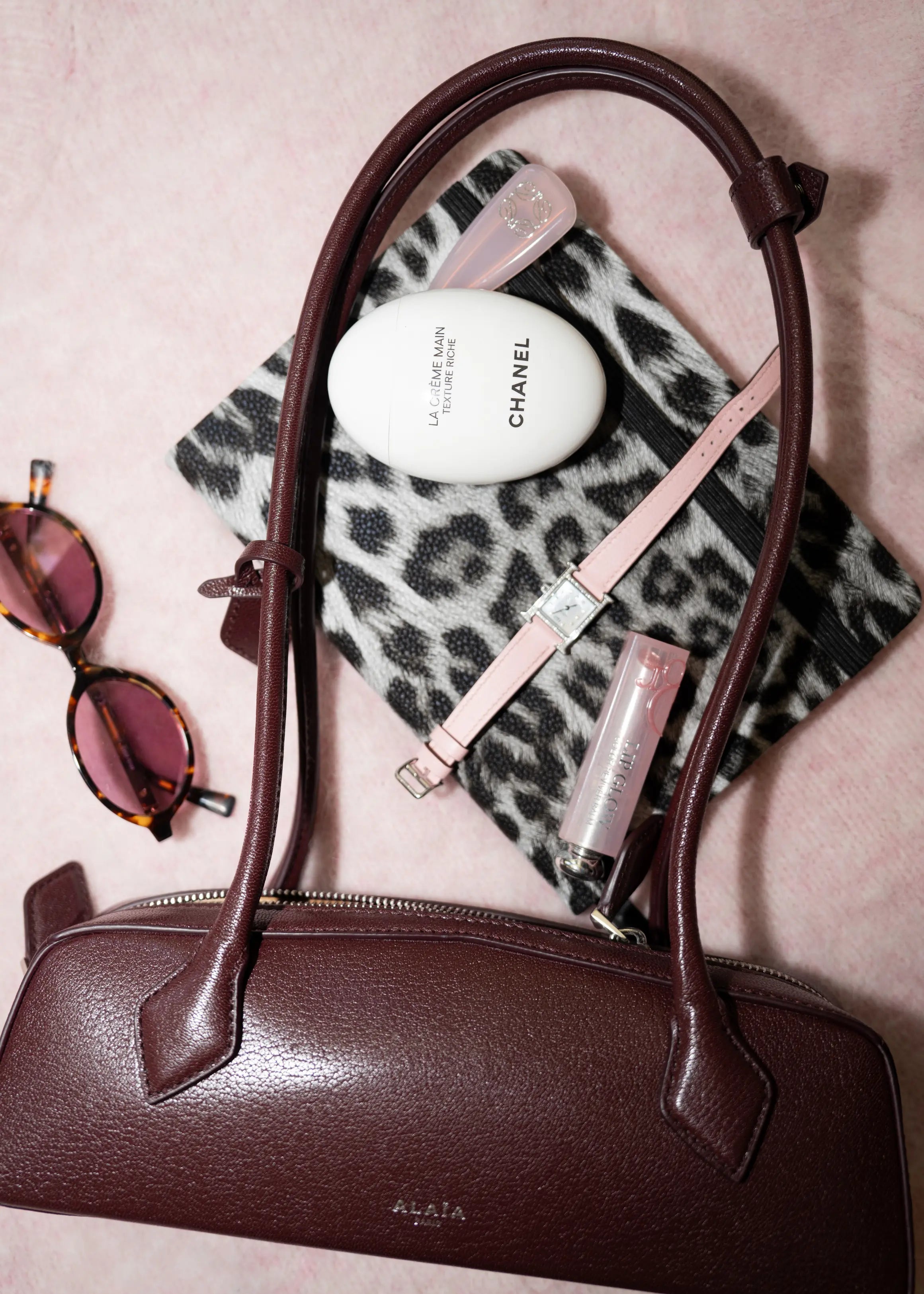Snow Leopard Journal The Dream Académie