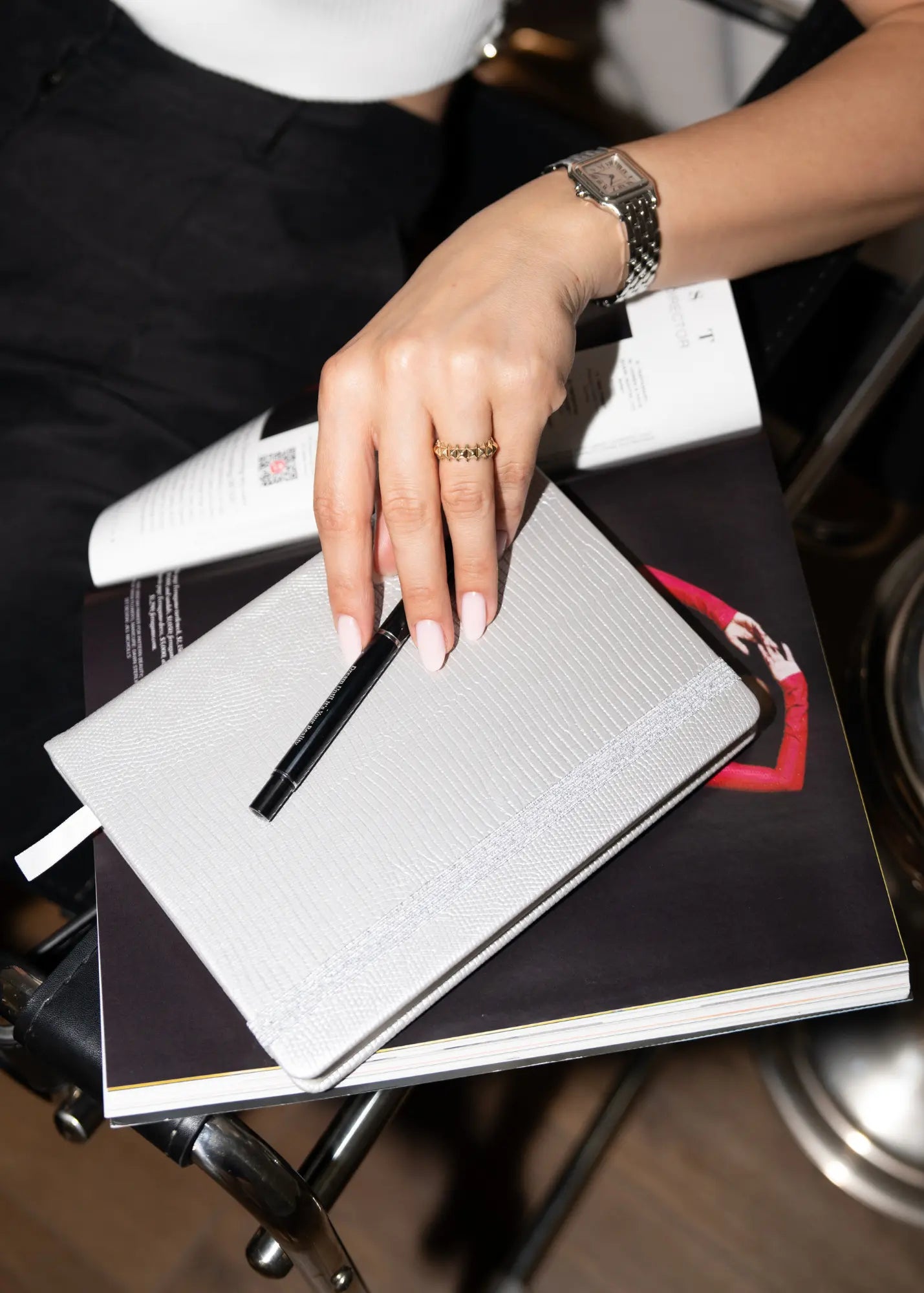 Silver Lizard Journal The Dream Académie