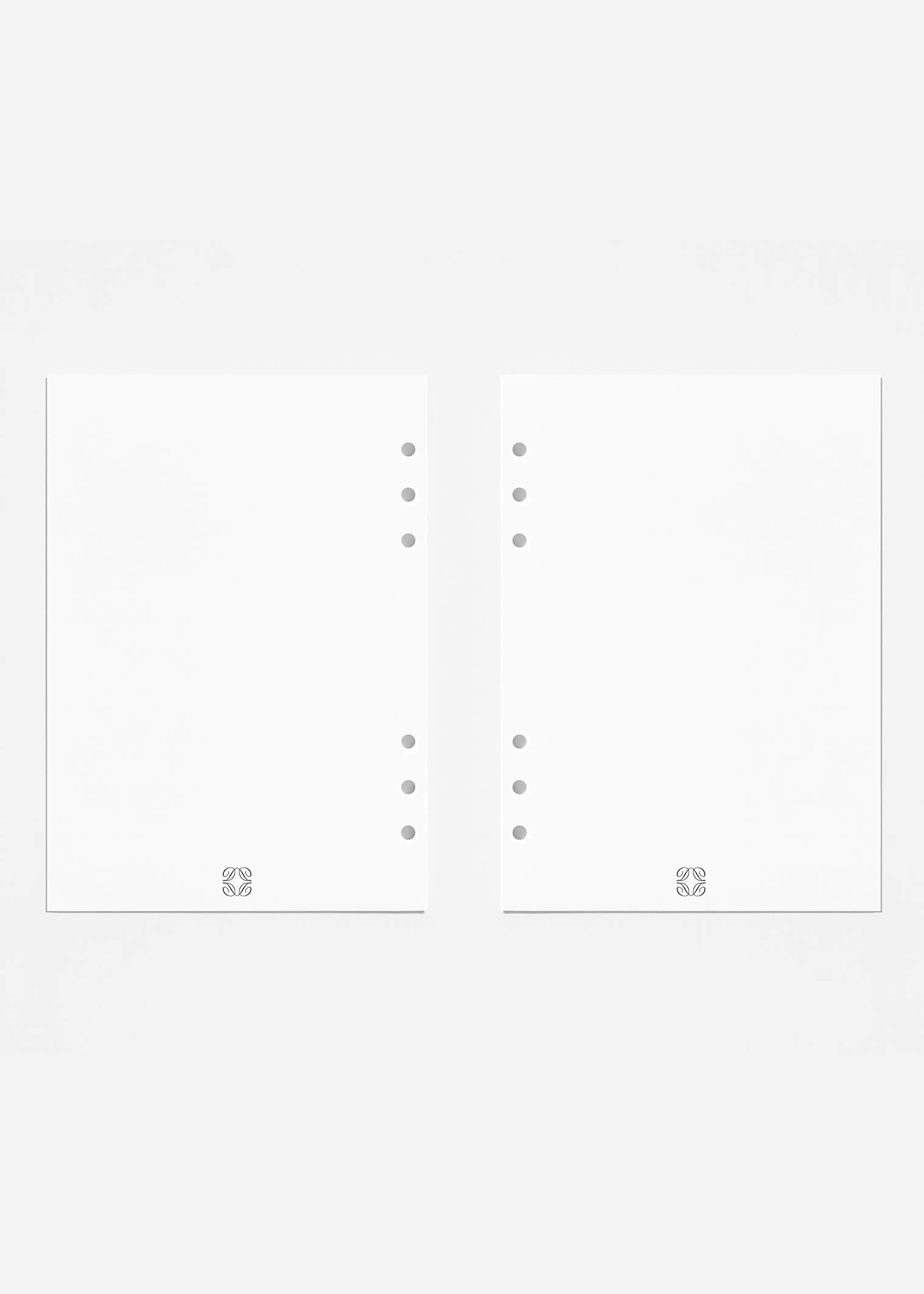 Blank Pages A5 Refill Planner The Dream Académie