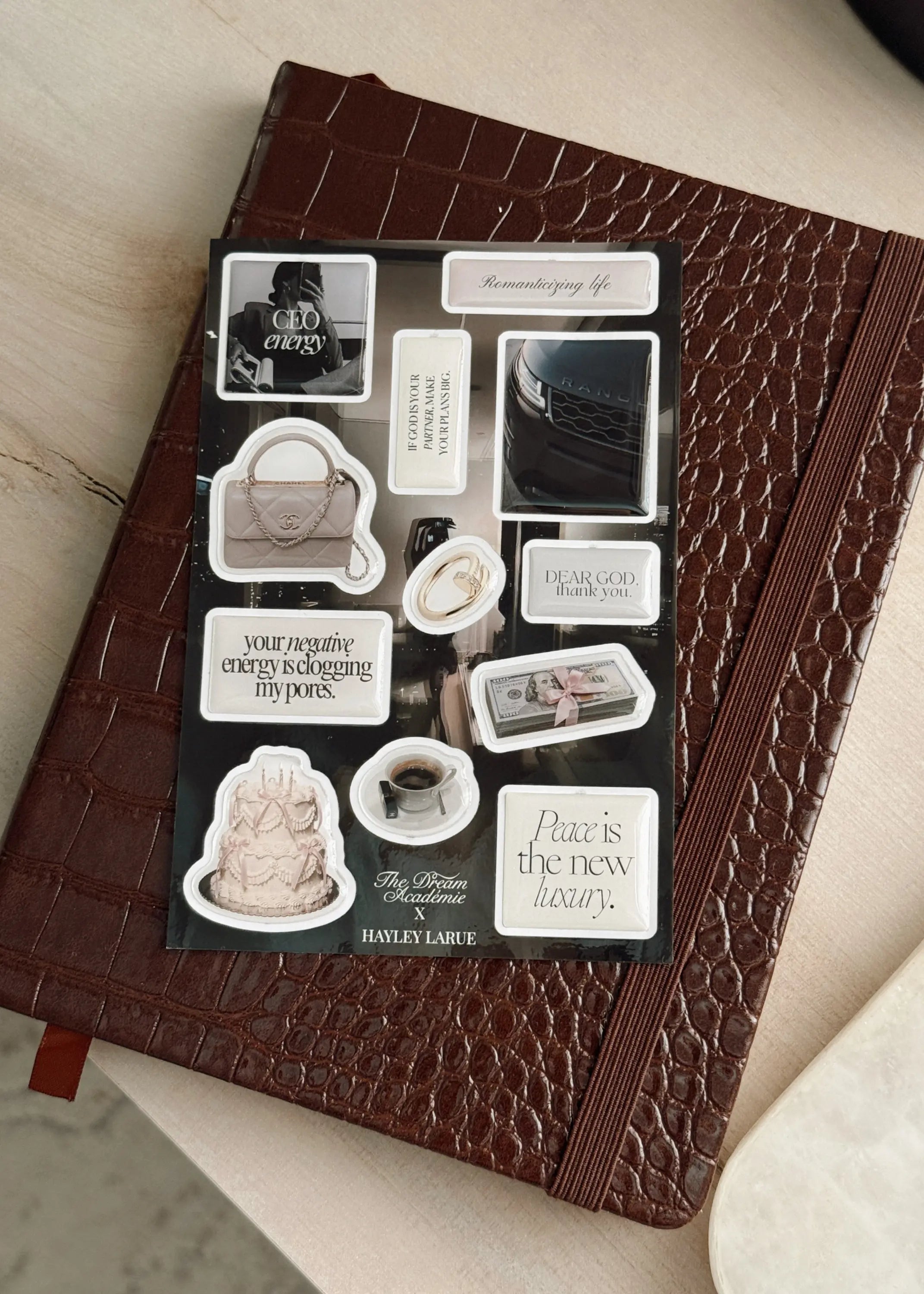 Hayley Larue x TDA Sticker Set The Dream Académie