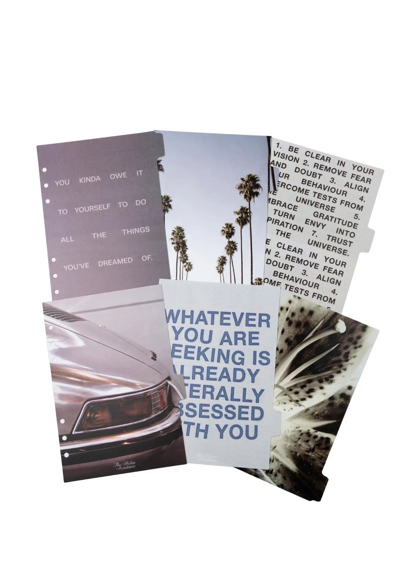 Dream Life A5 Planner Dividers The Dream Académie